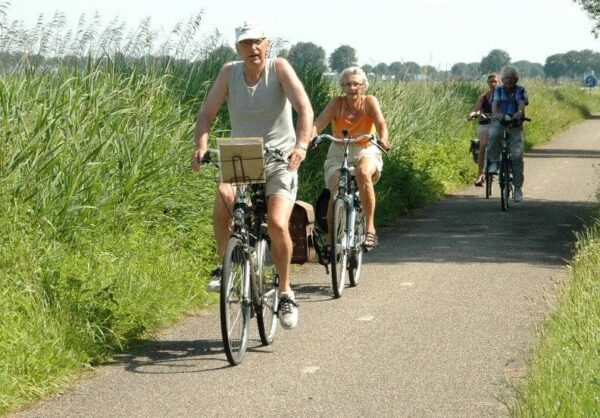 Volwassen deelnemers