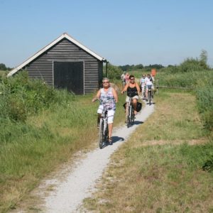 B Volwassen deelnemer